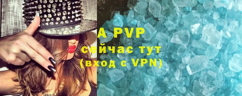 A PVP СК  Дальнегорск 